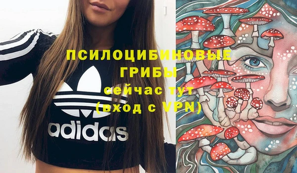 амф Алексеевка