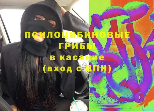 сатива Абаза