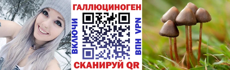 Псилоцибиновые грибы Psilocybe  Каменка 